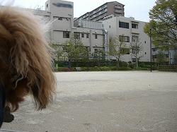 いないじゃん