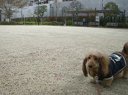 ん?どこどこ??