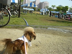 Tさま狙い