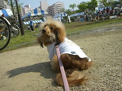 Tさまのトコに行くのぉ