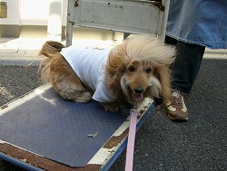えへへ