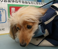 うるうる別バージョン