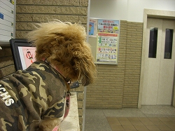 P君待ち
