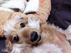 うっとり
