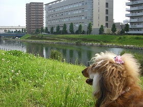ここに・・・