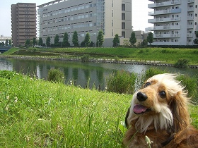 お友達がいるの♪