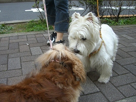 レミちゃんとチュー☆