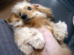 お手手・・・変?