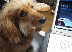 PCでちか・・・