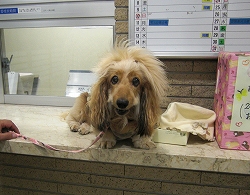 うふん♪
