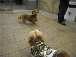 2ショットって言えないわよぉ〜