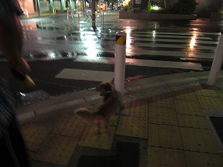 お外は雨