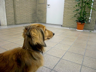 マテ中