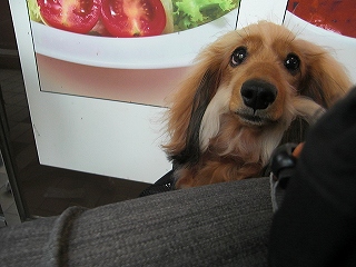 お腹すいたぁ