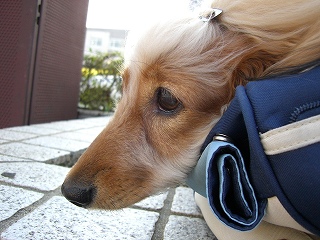 ½©¤ò´¶¤¸¤Æ¤Þ¤Õ