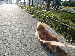 アタチ、行かなくっちゃ