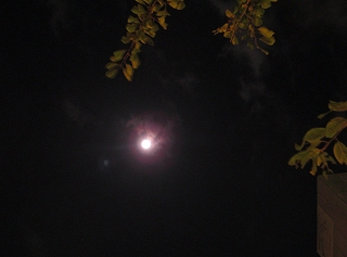 満月