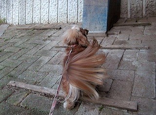 見てみてっ!