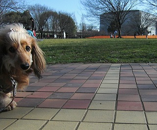 中央公園へ
