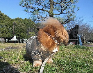 サブを探しにきたけど・・