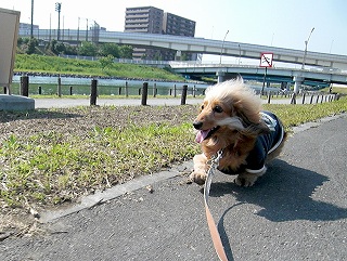 わ〜い♪