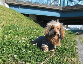 大変じゃないのぉ