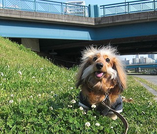 アタチが何とかしなくっちゃ