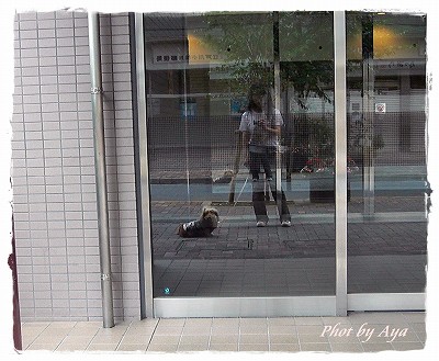 短足エル