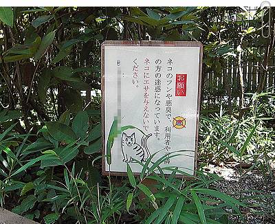 看板