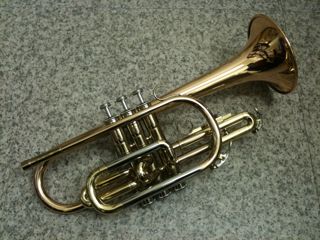 20110315_2240093.jpg