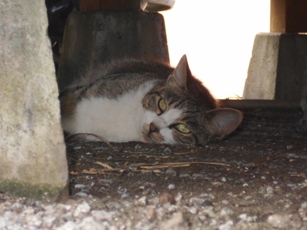 DSCN4537.JPG