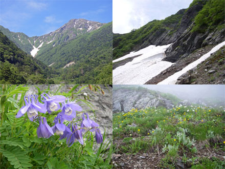 北岳 2008.07.15