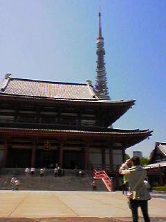 東京タワーから東の広い寺院