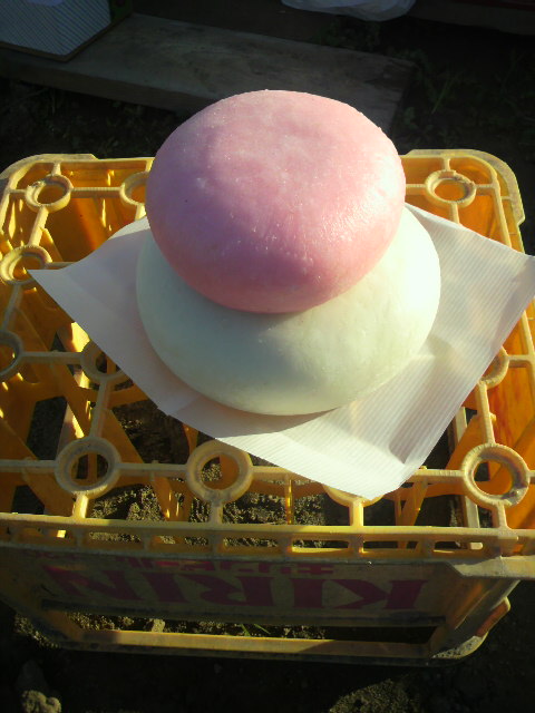 2011103115050000.jpg
