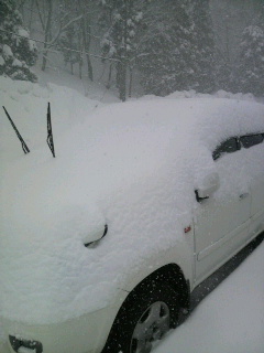2011031112430000.jpg