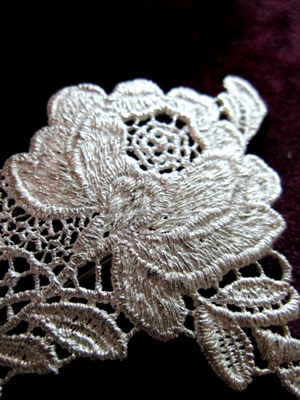 Sophora
