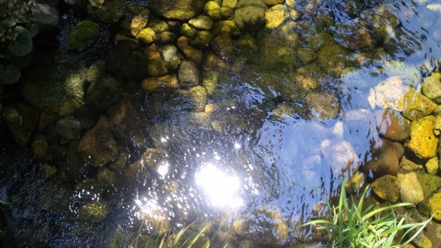 120528_124947_ed.jpg