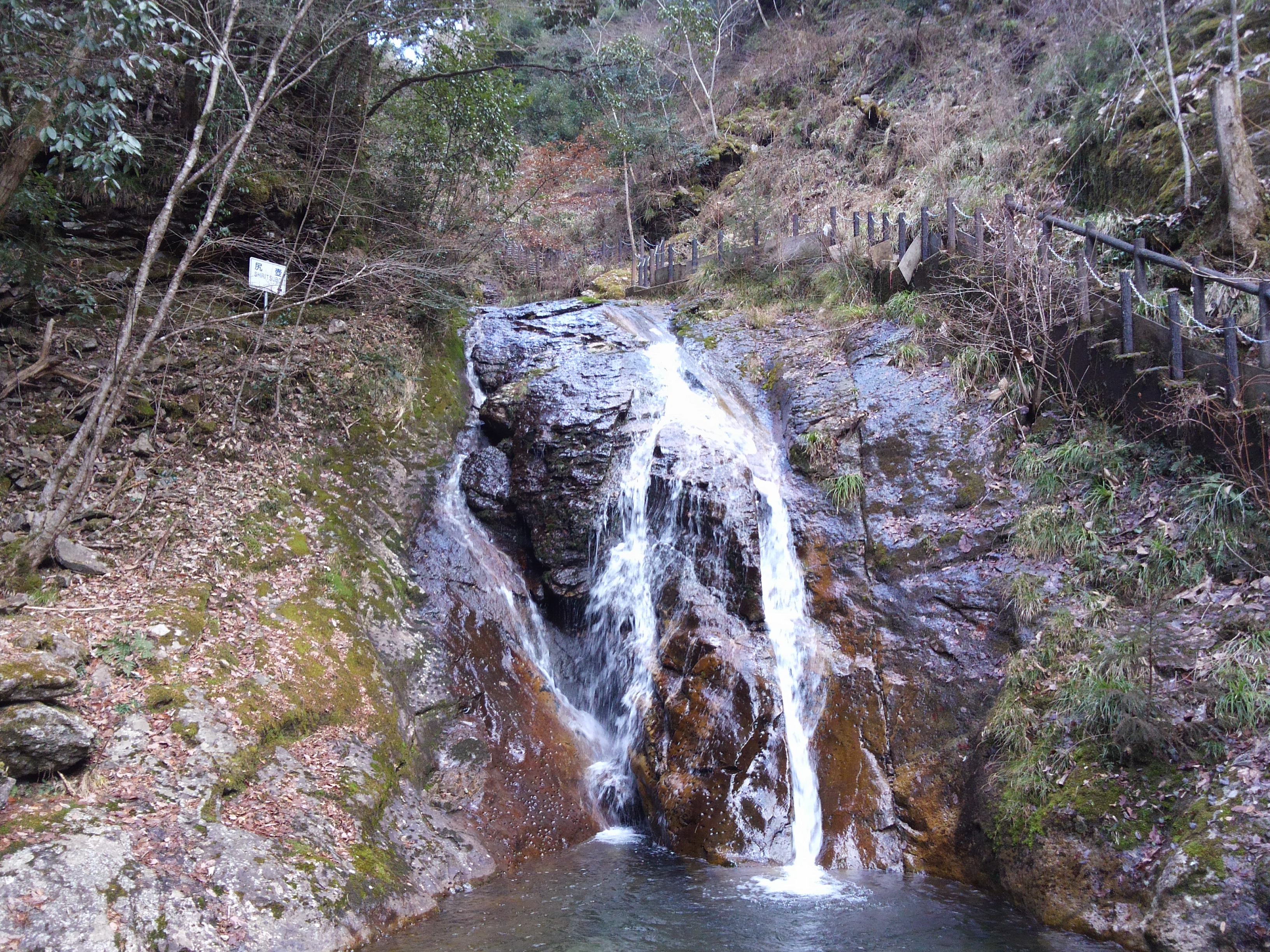 DCIM0225.JPG