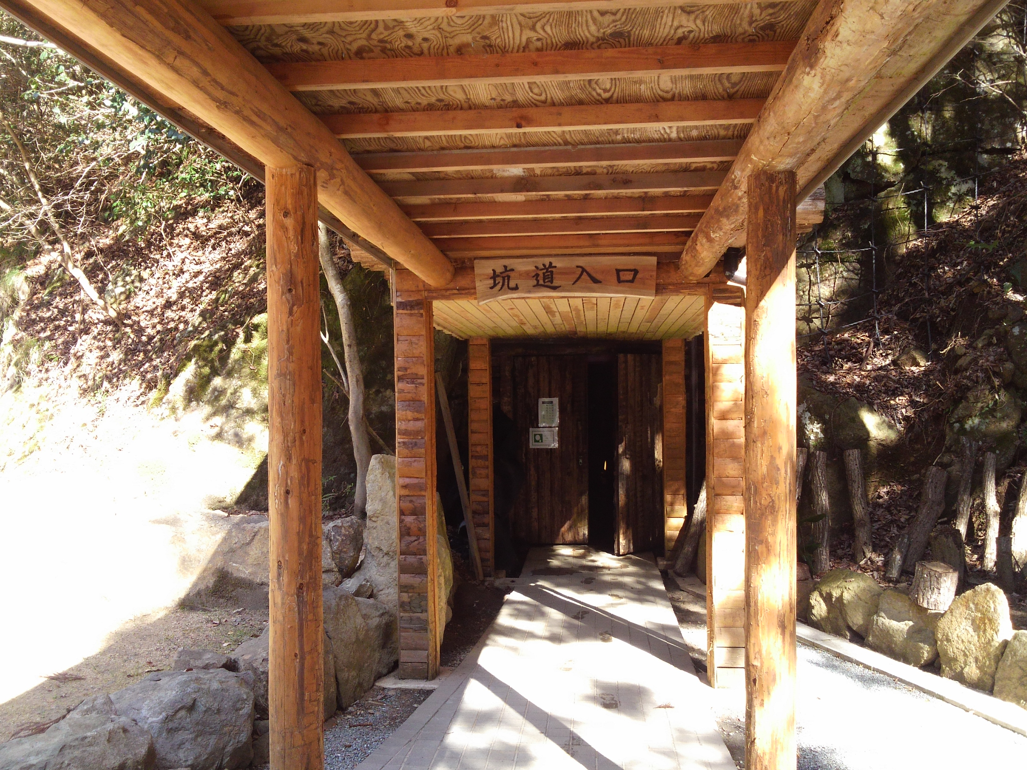 DCIM0221.JPG