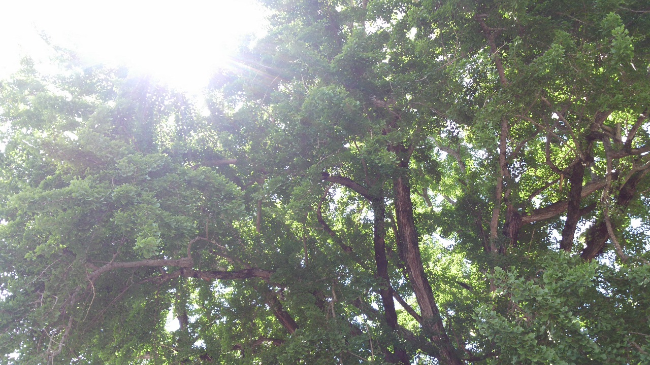 DCIM0042.JPG
