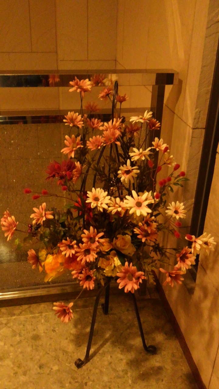 DCIM0247.JPG