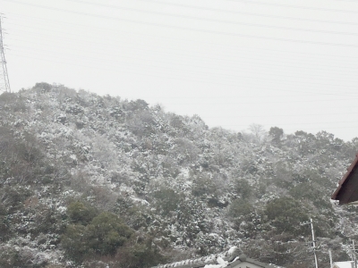 2014-02-08-10-28-37_deco.jpg
