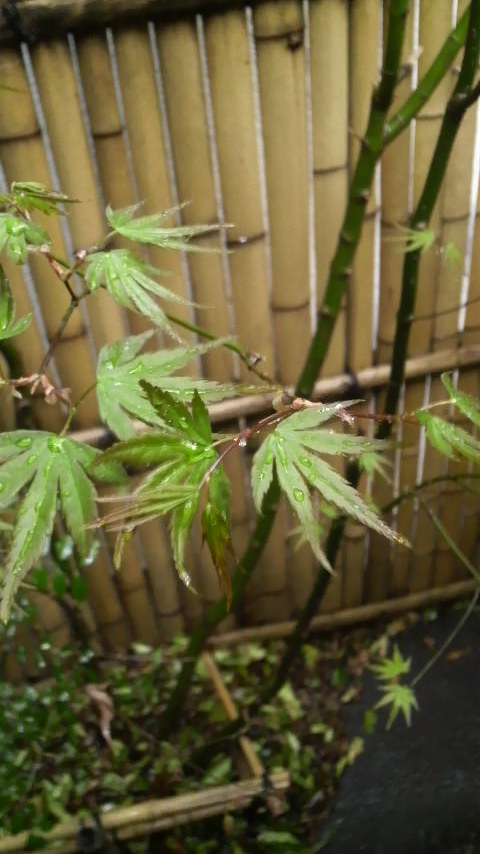 2012032716370000.jpg