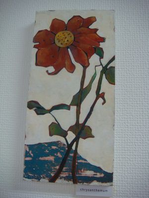 chrysanthemum