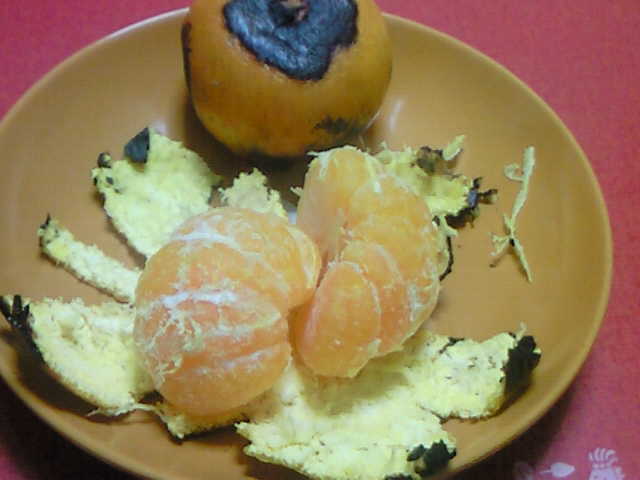 201101090138000.jpg