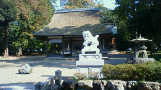200910311229000.jpg