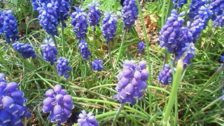 201104181037002.jpg