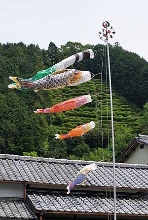 丸子朝市(1)