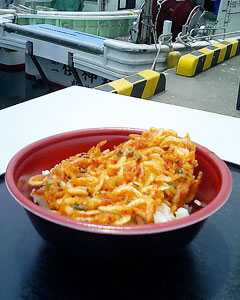 桜えび丼