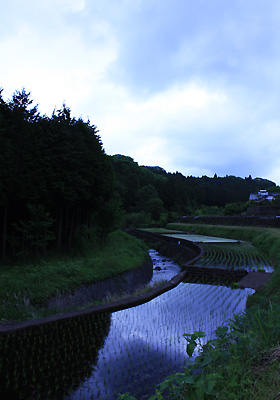 芝川2